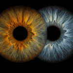 idea regalo donna anniversario foto iride