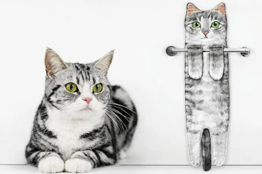 asciugamani gatto