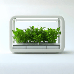 Giardino domestico Serra idroponica idea regalo donna moglie ecologista