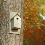 Nido in legno idea regalo donna moglie 