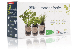 kit erbe aromatiche