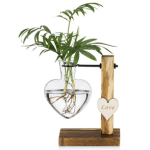 vaso idroponico a cuore vaso cuore idea regalo donna fidanzata ecologista